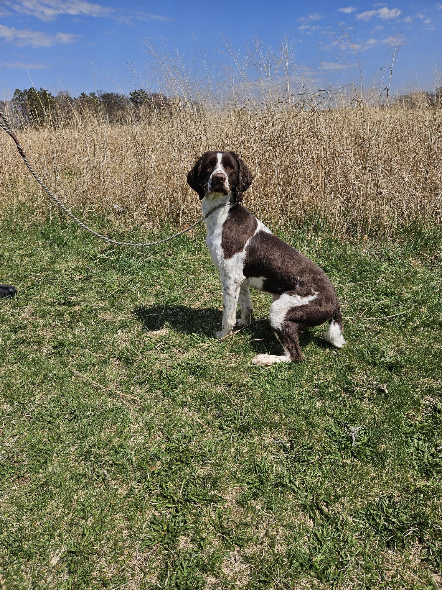 Filson
