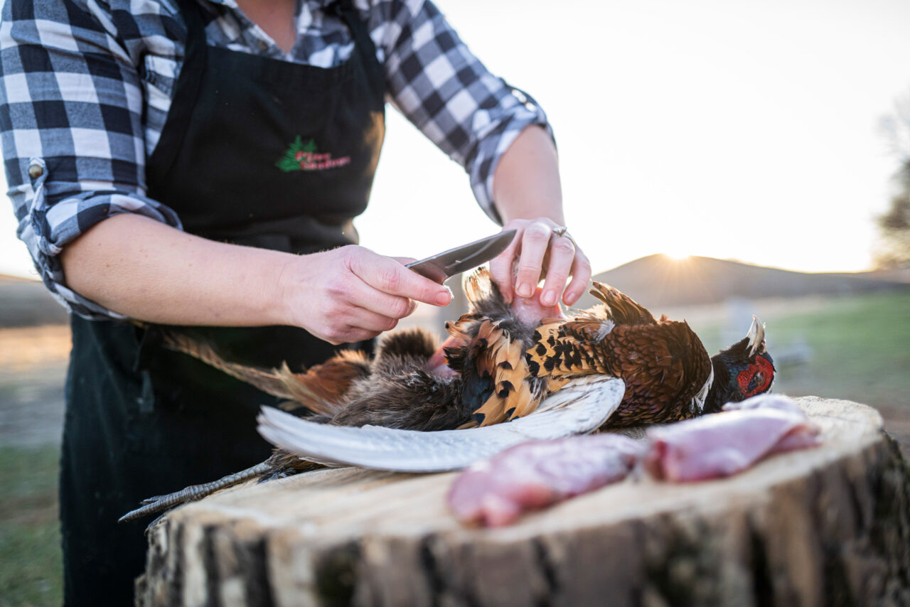 Hunting Pine Shadows Hunting Dog Training Daybreak Hunting Lodge Corporate Retreats