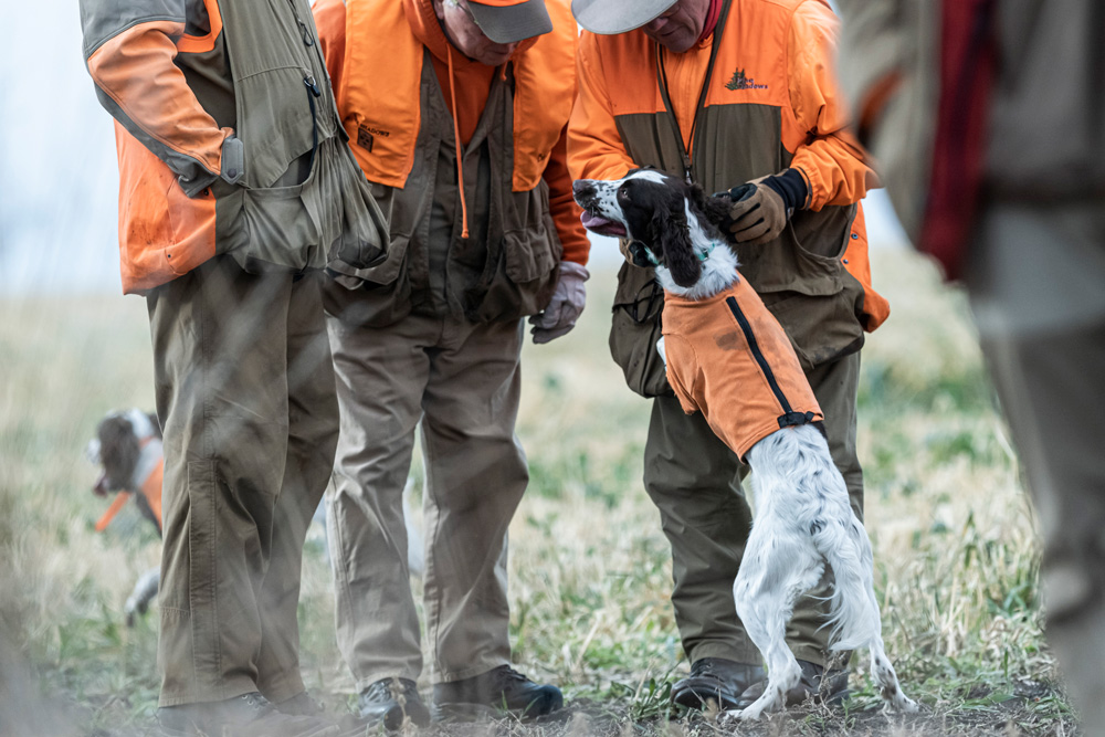Hunting Pine Shadows Hunting Dog Training Daybreak Hunting Lodge Corporate Retreats